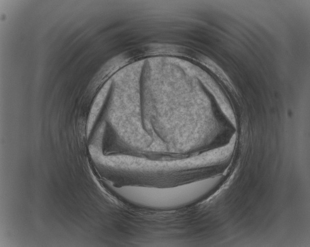 X0000087400849200705181330