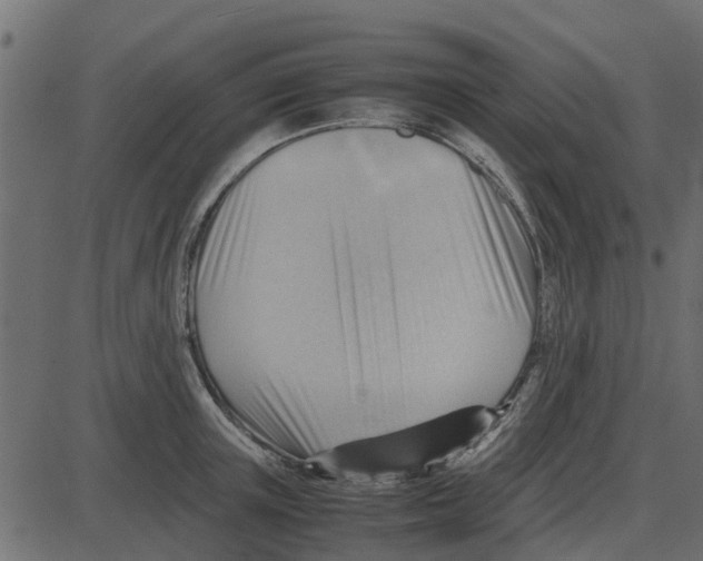 X0000087400851200705181330