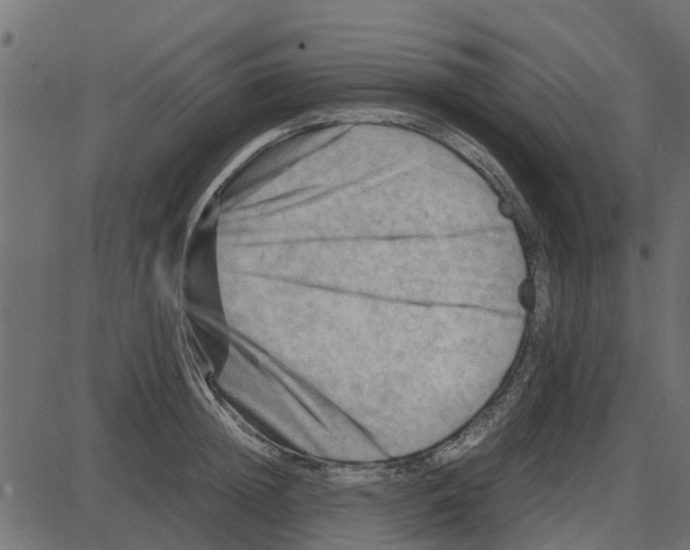 X0000087400852200705181330