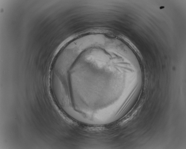 X0000087400853200705181330