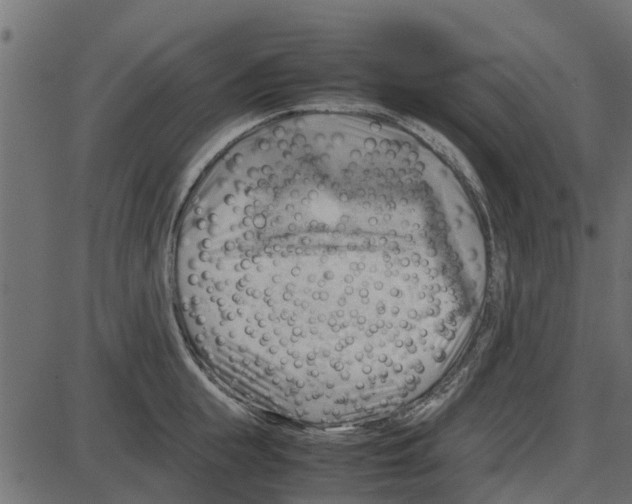 X0000087400855200705181330