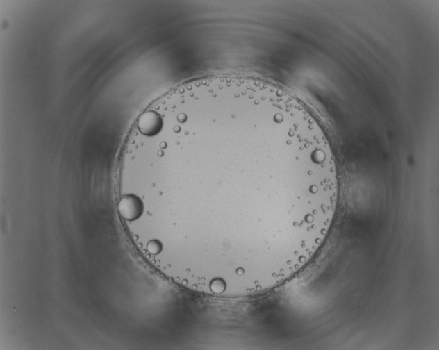 X0000087400856200705181330