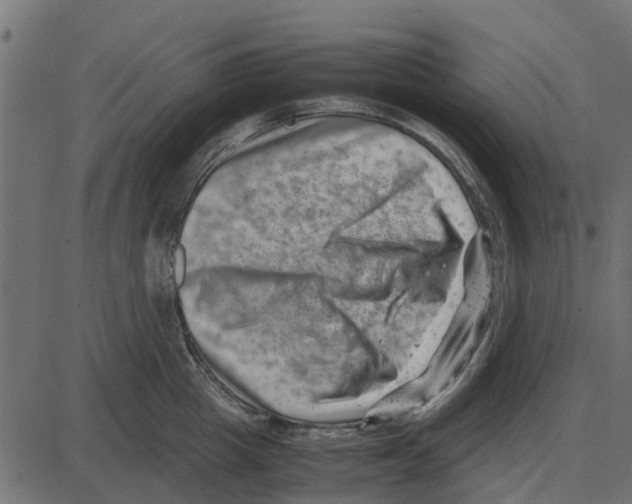 X0000087400857200705181330