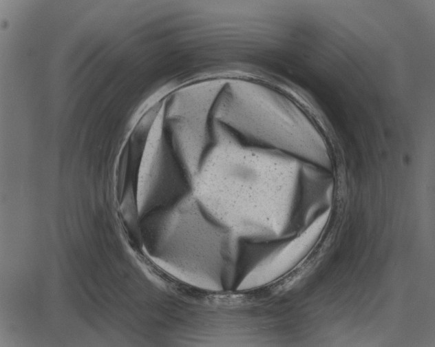 X0000087400858200705181330