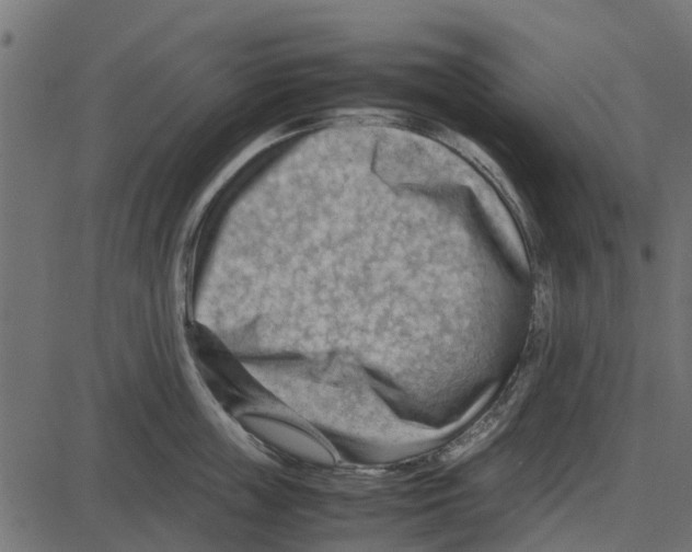 X0000087400859200705181331