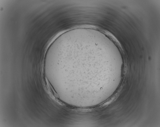 X0000087400860200705181331