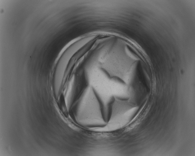 X0000087400862200705181331