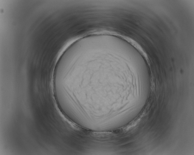 X0000087400863200705181331