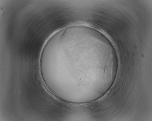 X0000087400864200705181331