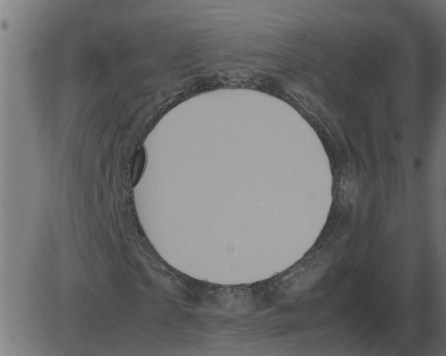 X0000087400865200705181330