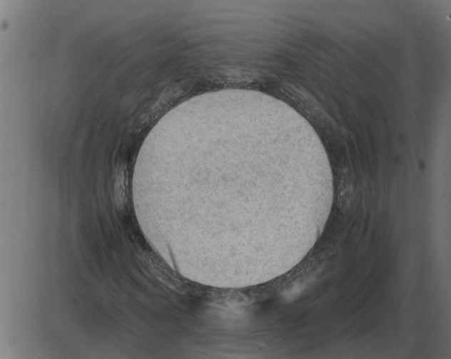 X0000087400866200705181330