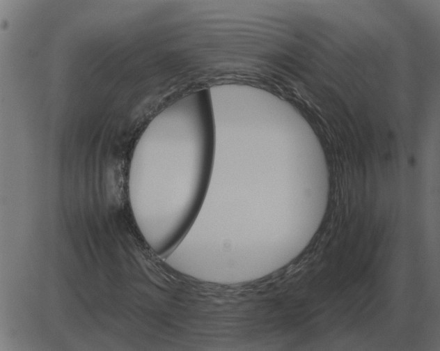 X0000087400868200705181330