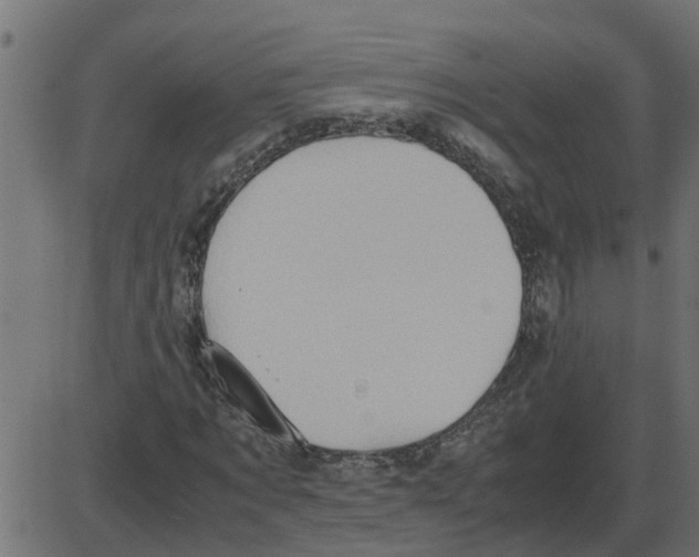 X0000087400869200705181330