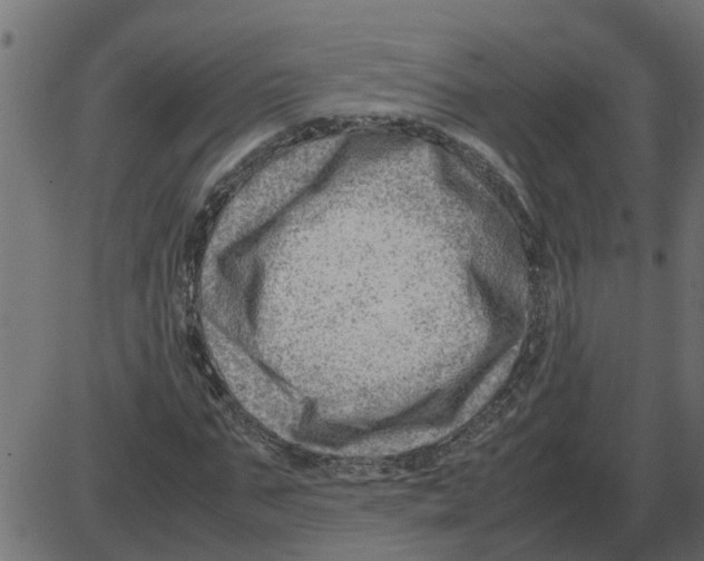 X0000087400871200705181330