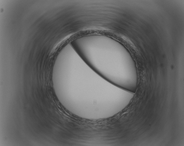 X0000087400872200705181330