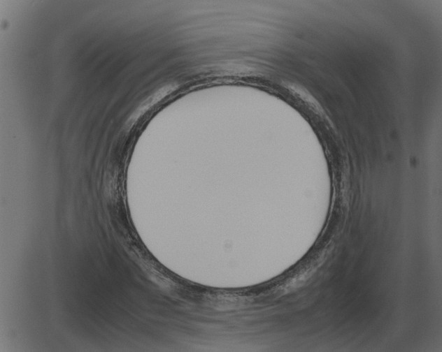 X0000087400873200705181330