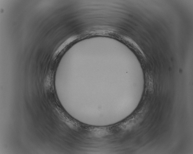 X0000087400874200705181330