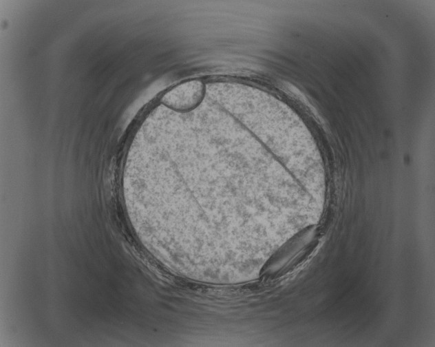 X0000087400875200705181330