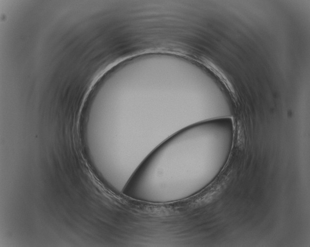 X0000087400876200705181330