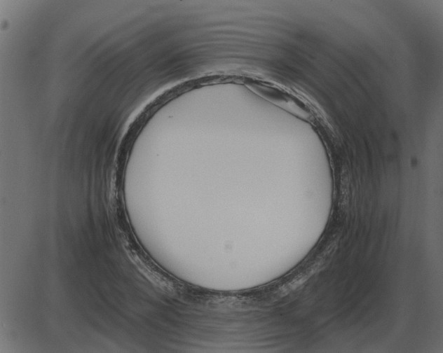 X0000087400880200705181330