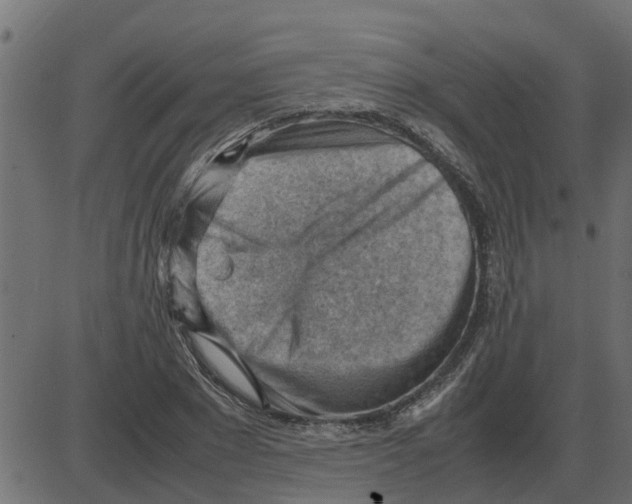 X0000087400881200705181330