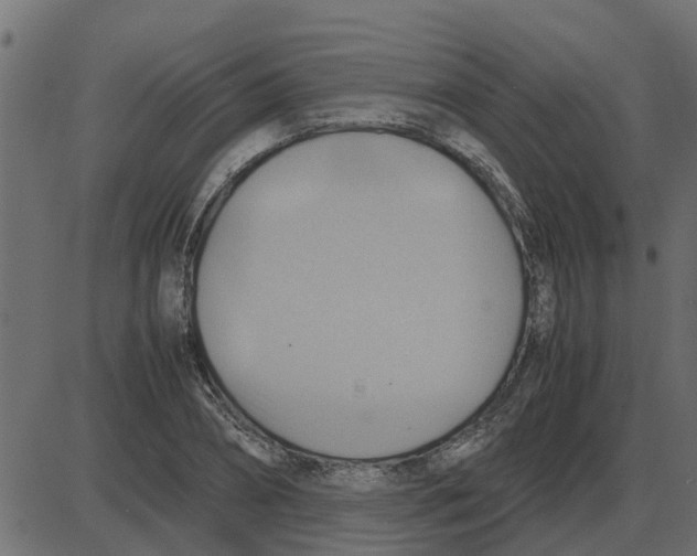 X0000087400882200705181330