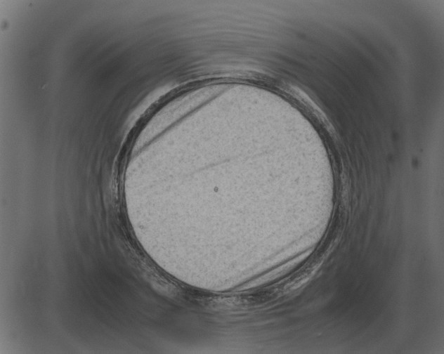 X0000087400883200705181330