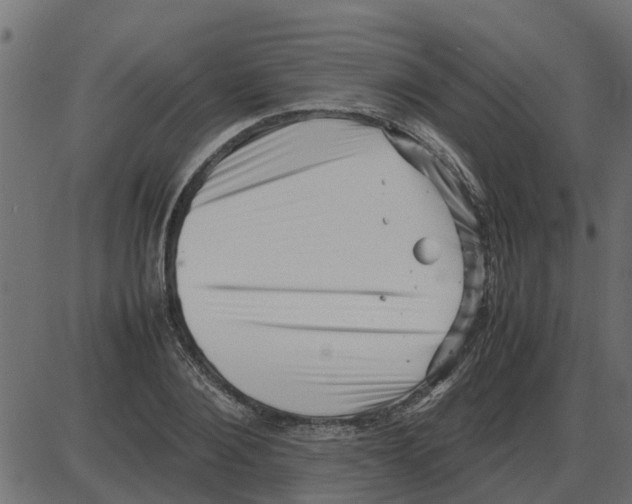 X0000087400884200705181329