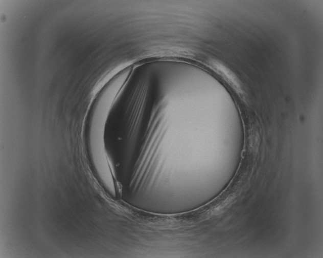 X0000087400885200705181329