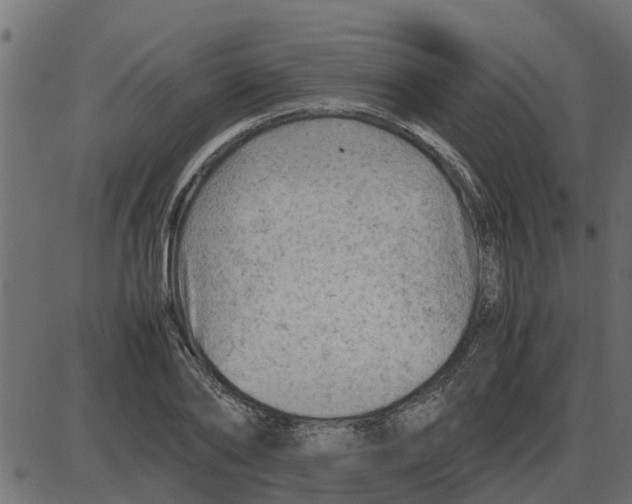 X0000087400886200705181329