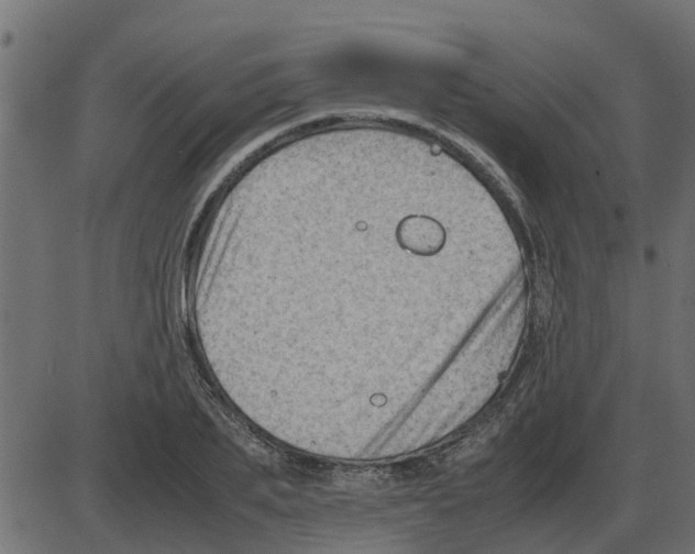 X0000087400887200705181329