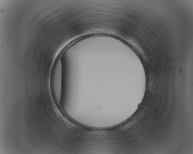 X0000087400888200705181329