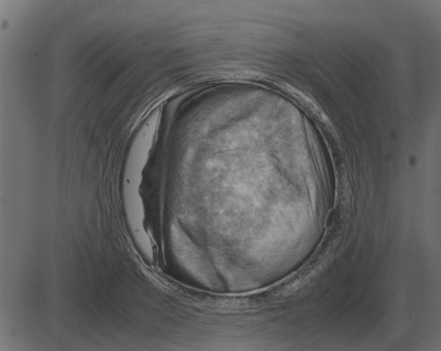 X0000087400889200705181329