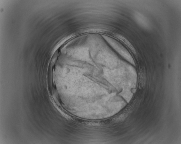 X0000087400890200705181329