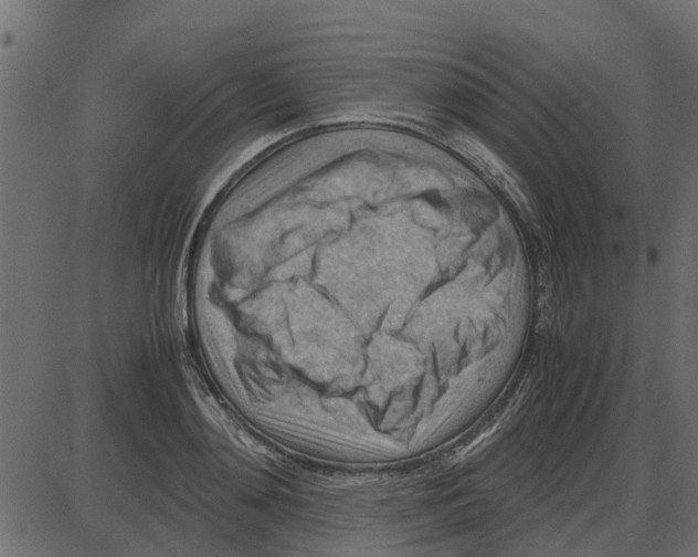 X0000087400892200705181329