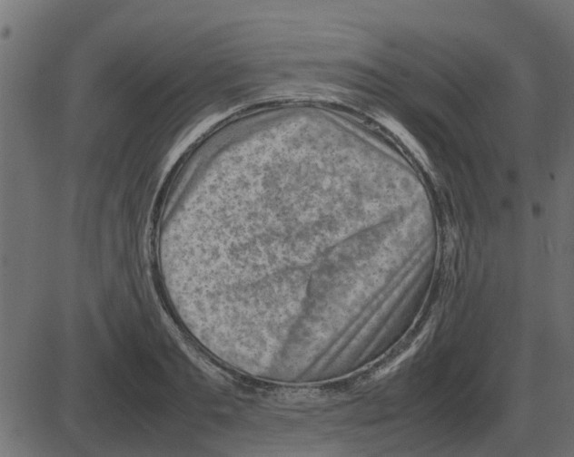 X0000087400893200705181329