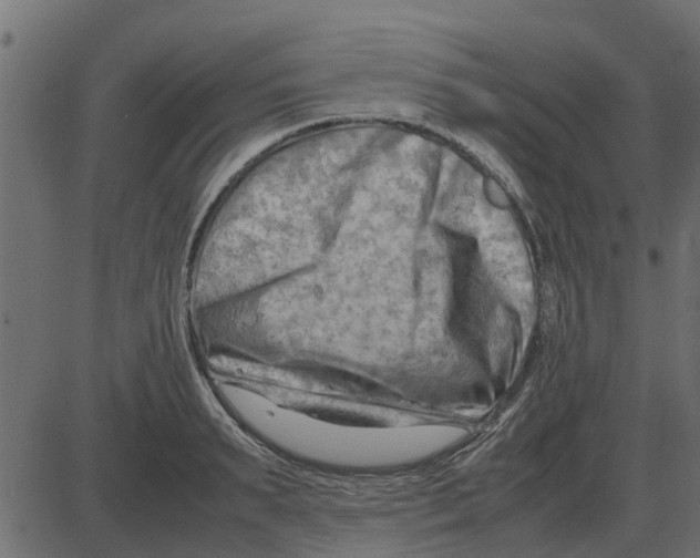 X0000087400895200705181329