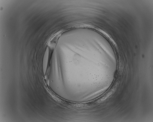 X0000087400897200705181329