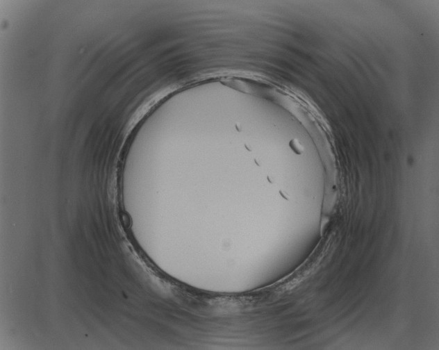 X0000087400898200705181329