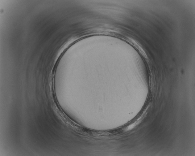 X0000087400899200705181329