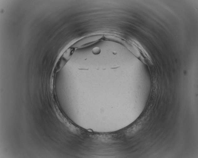 X0000087400900200705181329