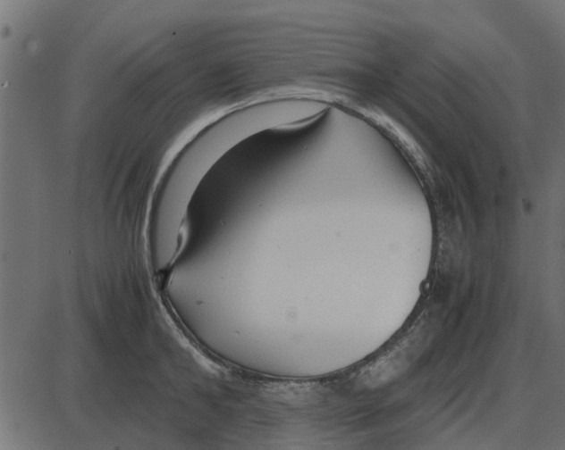 X0000087400902200705181329