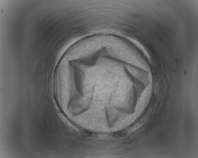 X0000087400903200705181329