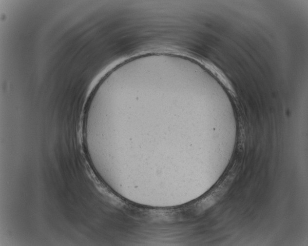 X0000087400904200705181329