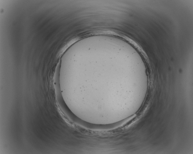 X0000087400905200705181329