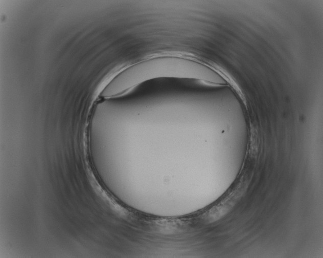 X0000087400906200705181329