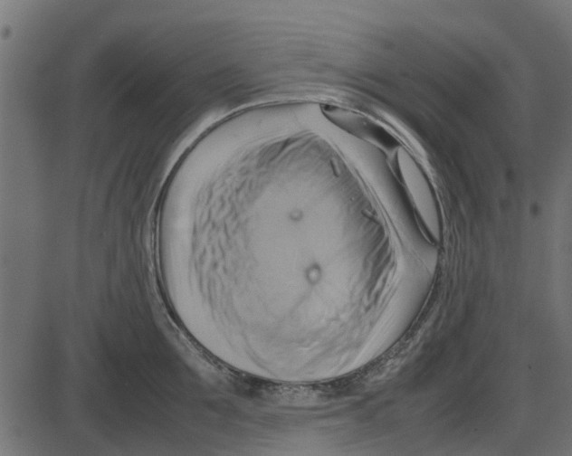 X0000087400907200705181329