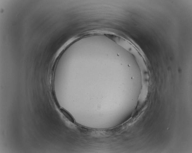 X0000087400909200705181329