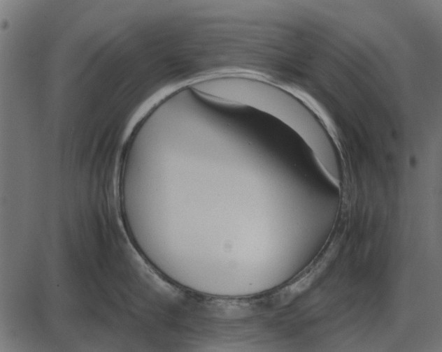 X0000087400910200705181329