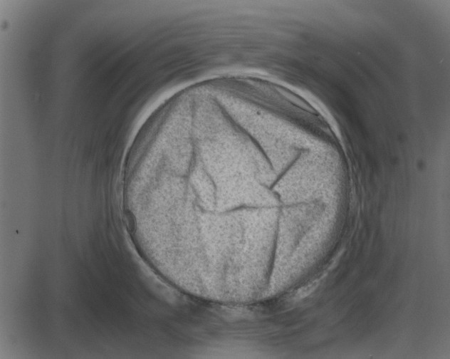 X0000087400911200705181329